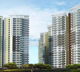 amrapali-heartbeat city