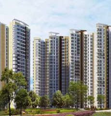 amrapali-heartbeat city