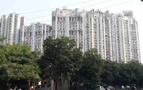 Amrapali Platinum Sector 119