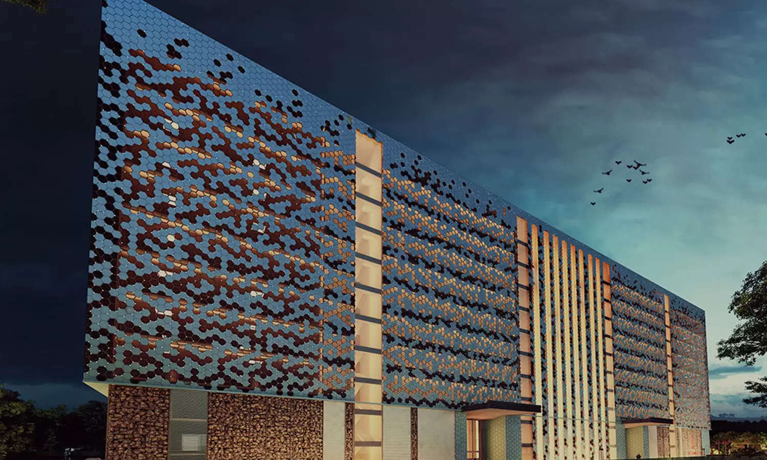 Elevation Image