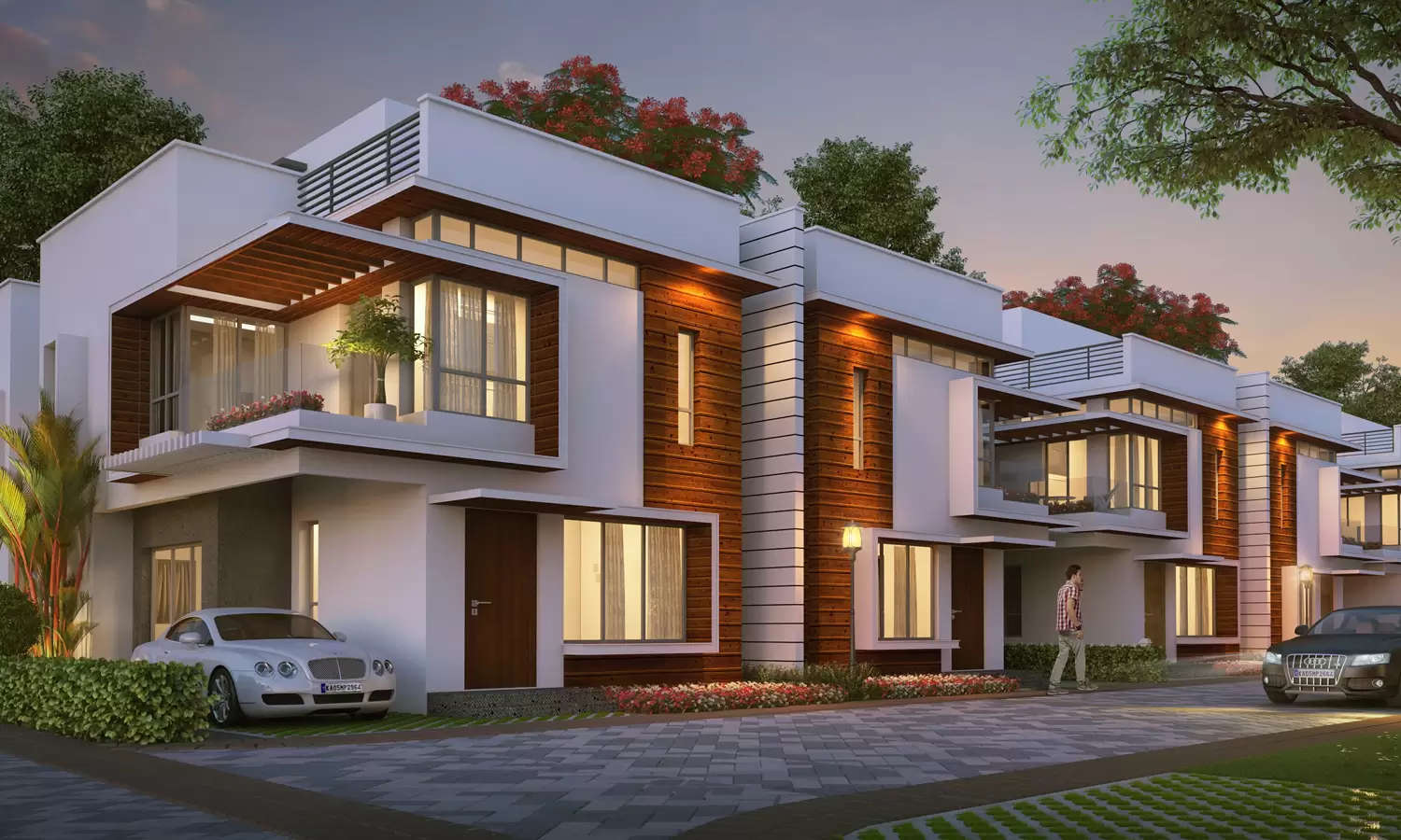 Elevation Image