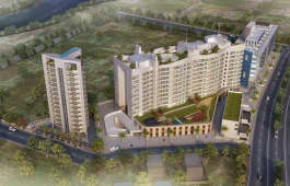 saarrthi-shimmer & shine ii