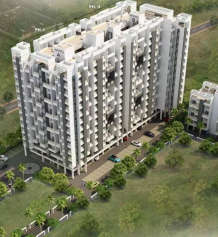 sonigara-neelangan