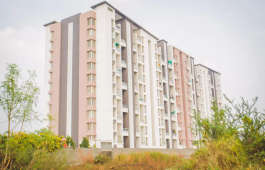 excellaa-chesterfield