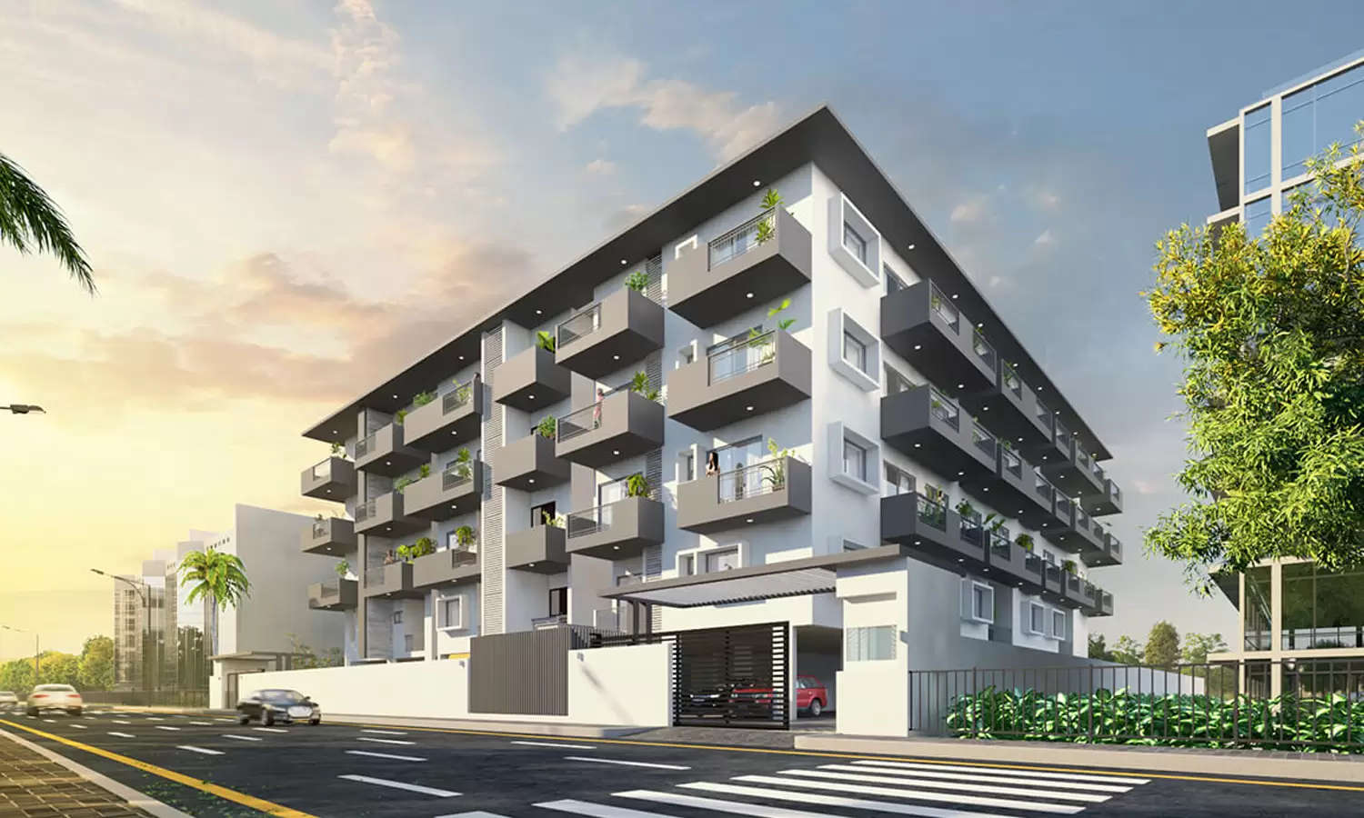 Elevation Image