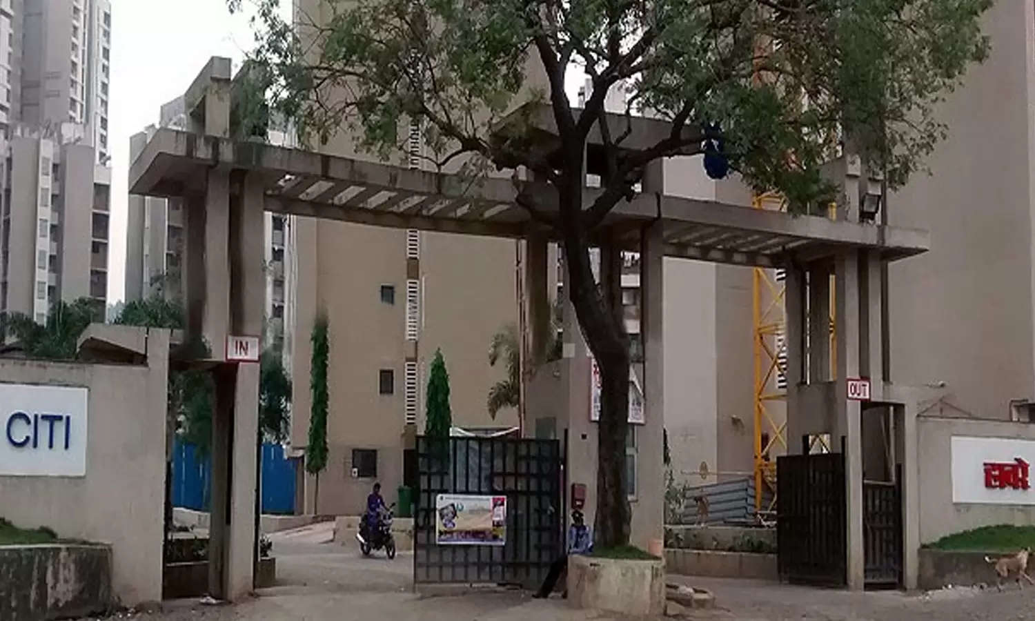 Project Entrance View