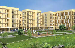 arun-excello sanjani