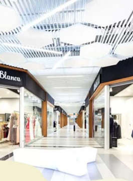 shree-ganesh ace arcade