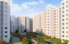 bren-northern lights