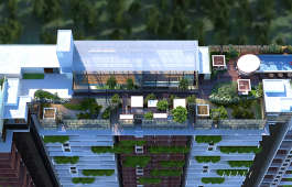 rajarajeshware-piccassso