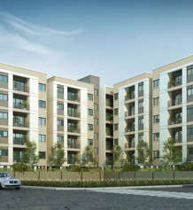 newry-arista