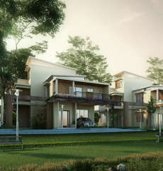 purva-smiling willows