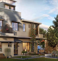 purva-smiling willows