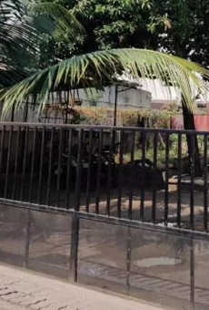 Goel Ganga Kamal