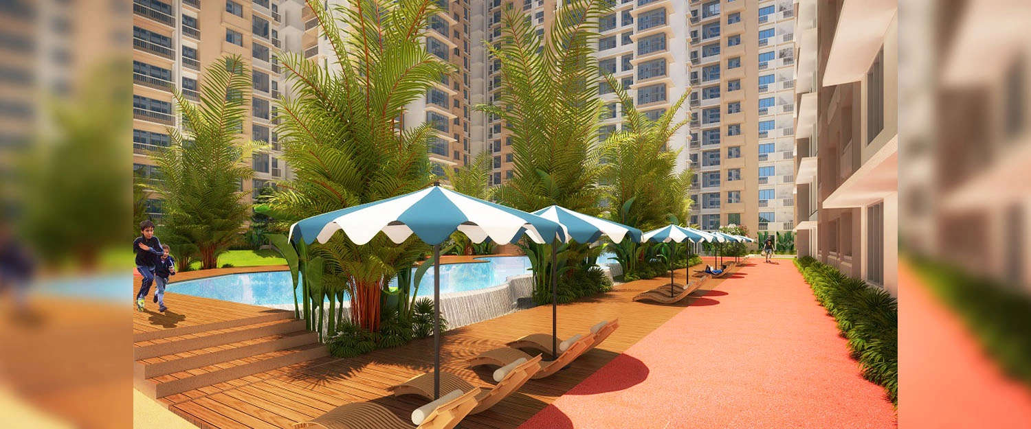 Outdoor Amenities