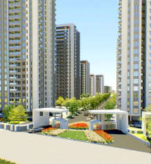 kolte-patil little earth