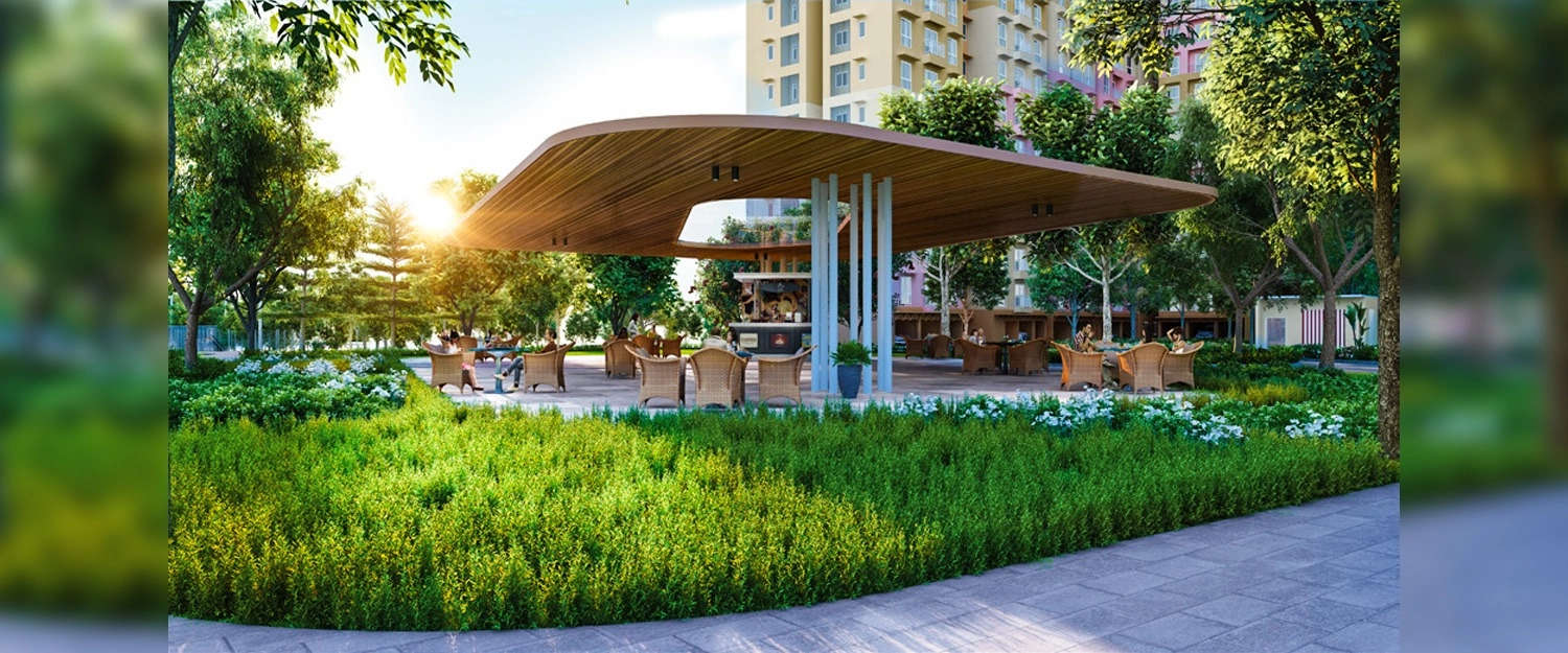 Outdoor Amenities