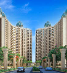 paradise-sai sun city