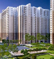 prestige-finsbury park regent