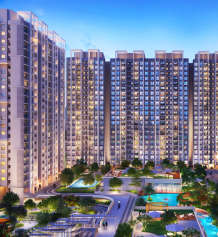 dosti-greenscape