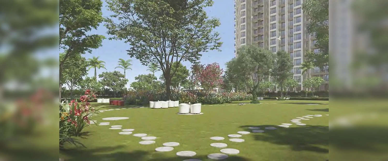 Outdoor Amenities