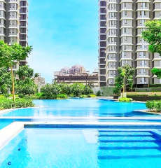 lodha-trump tower