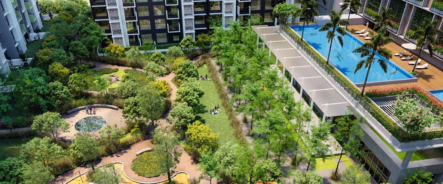 Outdoor Amenities