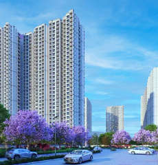 prestige-lavender fields