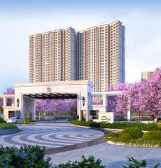 prestige-lavender fields