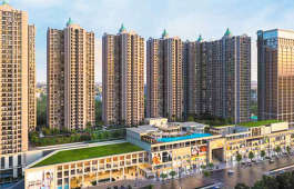 paradise-sai world dreams