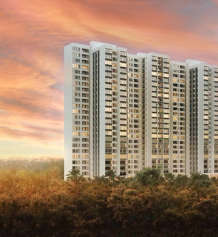 sobha-forest edge