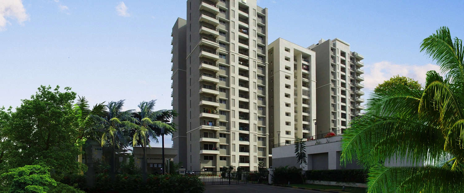 Elevation Image