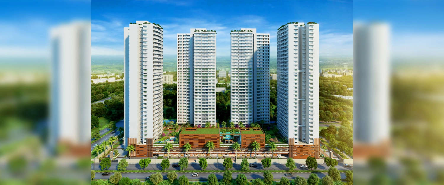 Elevation Image