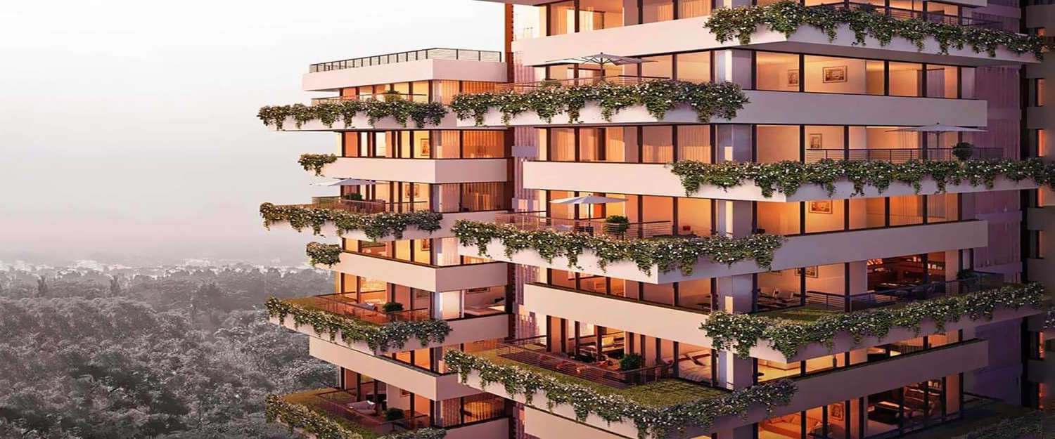 Elevation Image