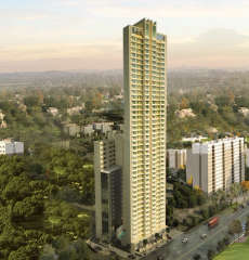 ruparel-palacio retail