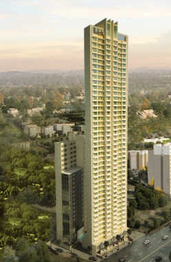 Ruparel Palacio Retail