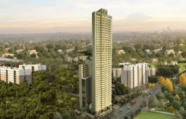 ruparel-palacio retail