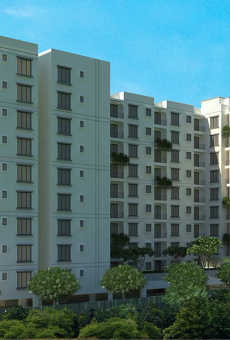 Peninsula Paramount
