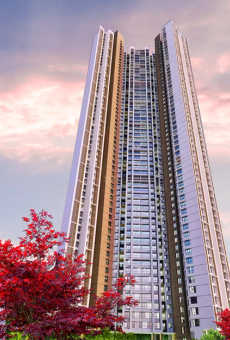Shapoorji Pallonji Codename Mumbai Dreams