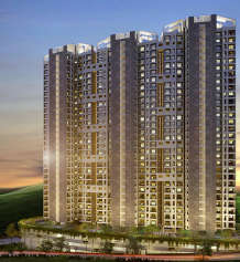 raunak-bonus city