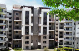 sobha-carnation