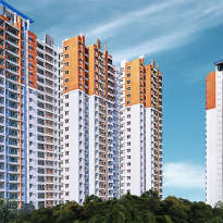 prestige-misty waters