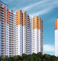 prestige-misty waters