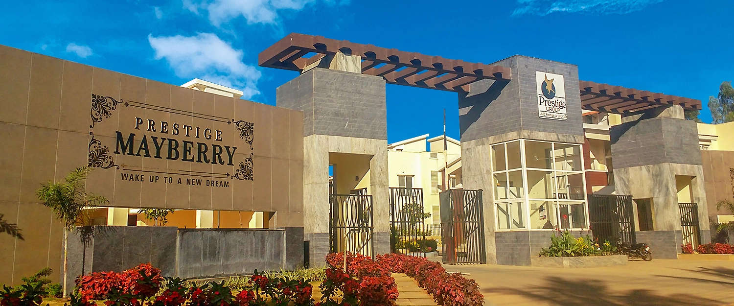 Project Entrance View