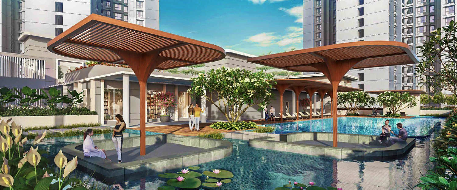 Outdoor Amenities