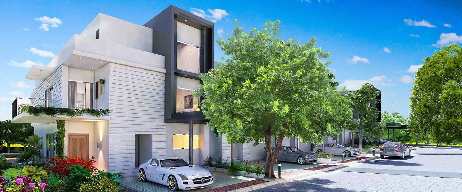 Elevation Image