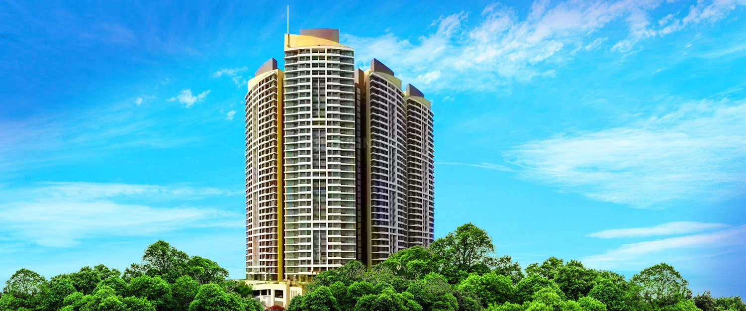 Elevation Image