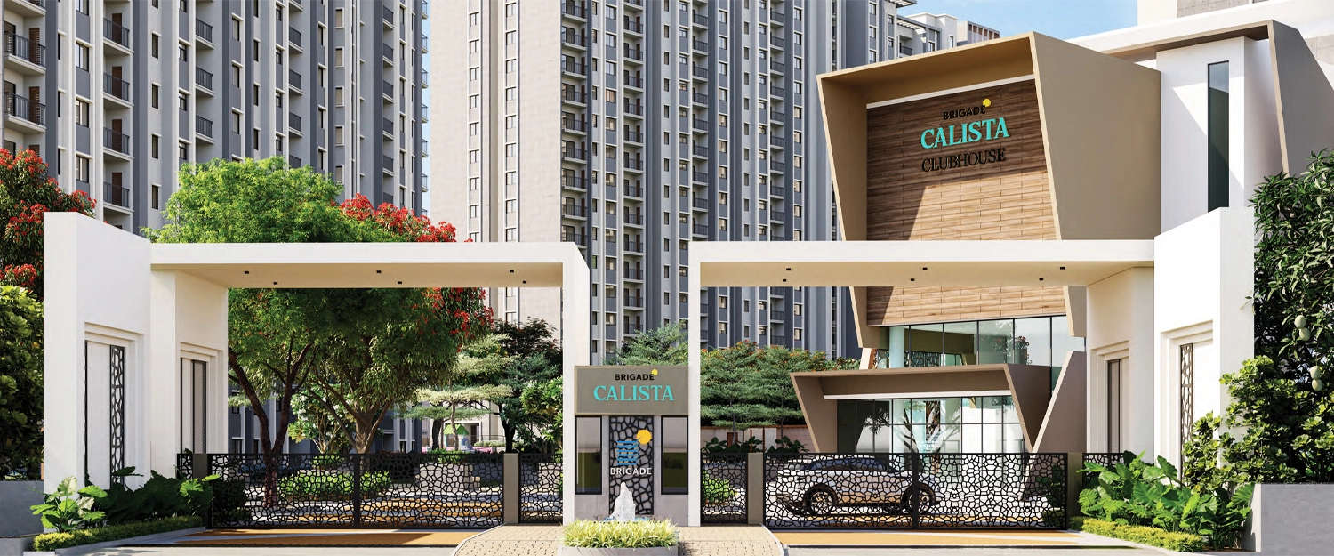 Project Entrance View