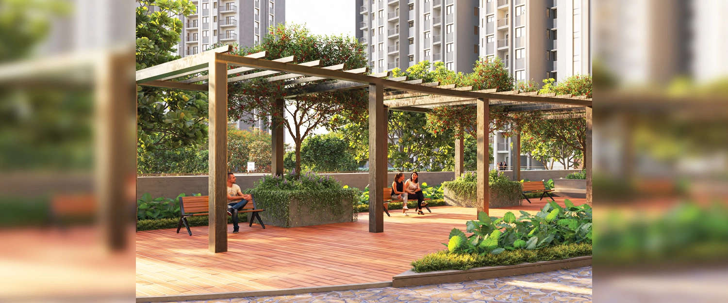 Outdoor Amenities