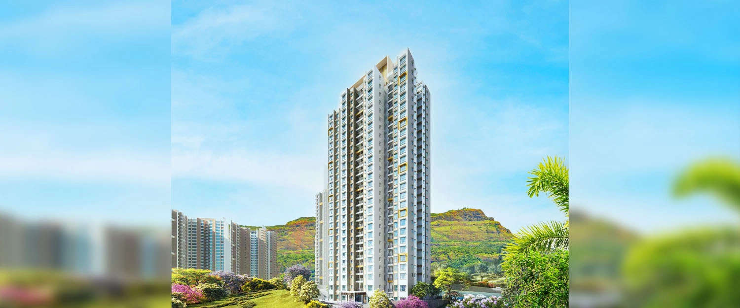 Elevation Image